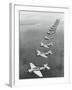 War Planes Flying in Formation-null-Framed Photographic Print