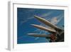 War Weapons-Nathan Wright-Framed Premium Photographic Print