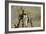 War-Banksy-Framed Giclee Print