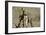 War-Banksy-Framed Giclee Print