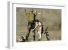 War-Banksy-Framed Premium Giclee Print