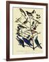 Warblers and Bluebirds-John James Audubon-Framed Giclee Print