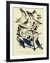 Warblers and Bluebirds-John James Audubon-Framed Giclee Print