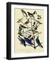 Warblers and Bluebirds-John James Audubon-Framed Giclee Print