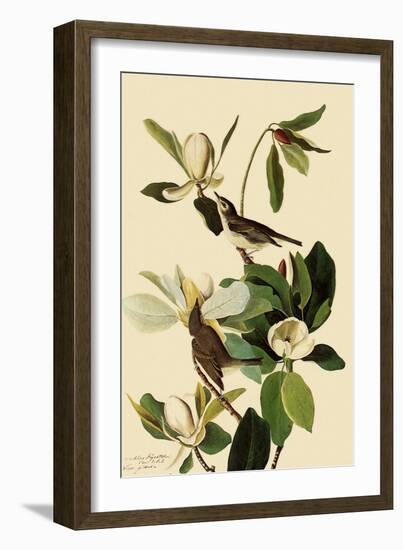 Warbling Vireos-John James Audubon-Framed Giclee Print