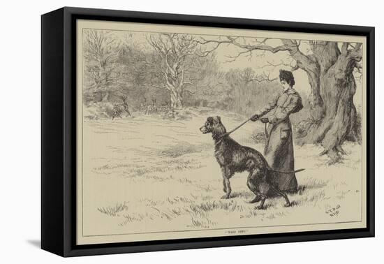 Ware Deer!-S.t. Dadd-Framed Stretched Canvas