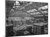 Warehouse at Spillers Animal Foods, Gainsborough, Lincolnshire, 1961-Michael Walters-Mounted Photographic Print