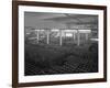 Warehouse Full of Crates of Bottles, Ward and Sons, Swinton, South Yorkshire, 1960-Michael Walters-Framed Photographic Print