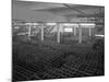 Warehouse Full of Crates of Bottles, Ward and Sons, Swinton, South Yorkshire, 1960-Michael Walters-Mounted Photographic Print