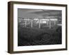 Warehouse Full of Crates of Bottles, Ward and Sons, Swinton, South Yorkshire, 1960-Michael Walters-Framed Photographic Print