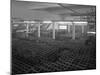 Warehouse Full of Crates of Bottles, Ward and Sons, Swinton, South Yorkshire, 1960-Michael Walters-Mounted Photographic Print