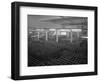 Warehouse Full of Crates of Bottles, Ward and Sons, Swinton, South Yorkshire, 1960-Michael Walters-Framed Photographic Print