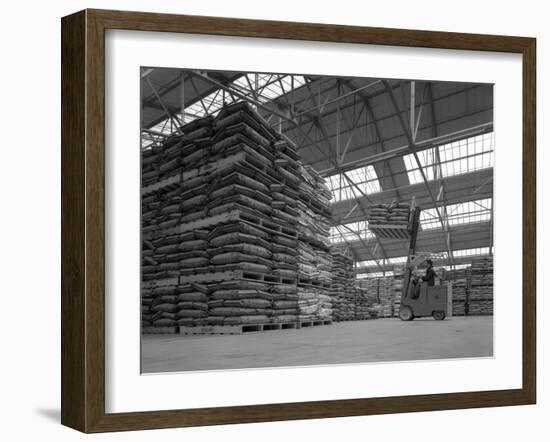 Warehouse Scene with Forklift Truck, Spillers Foods, Gainsborough, Lincolnshire, 1961-Michael Walters-Framed Photographic Print