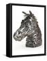 Warhorse (Metal, Spanners, Tools and Found Objects)-Lawrie Simonson-Framed Stretched Canvas