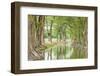 Waring, Texas, USA. Trees along the Guadalupe River in the Texas Hill Country.-Emily Wilson-Framed Photographic Print