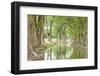 Waring, Texas, USA. Trees along the Guadalupe River in the Texas Hill Country.-Emily Wilson-Framed Photographic Print