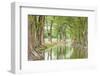 Waring, Texas, USA. Trees along the Guadalupe River in the Texas Hill Country.-Emily Wilson-Framed Photographic Print