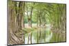 Waring, Texas, USA. Trees along the Guadalupe River in the Texas Hill Country.-Emily Wilson-Mounted Photographic Print