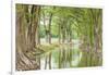 Waring, Texas, USA. Trees along the Guadalupe River in the Texas Hill Country.-Emily Wilson-Framed Photographic Print