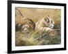 Warm Afternoon-Trevor V. Swanson-Framed Giclee Print