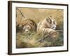 Warm Afternoon-Trevor V. Swanson-Framed Giclee Print