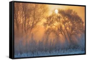 warm and cold-null-Framed Stretched Canvas