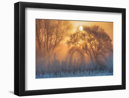 warm and cold-null-Framed Photographic Print