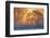 warm and cold-null-Framed Photographic Print