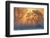 warm and cold-null-Framed Photographic Print