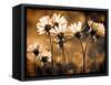 Warm and Sunny-Ursula Abresch-Framed Stretched Canvas