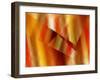 Warm And Wavy-Ruth Palmer-Framed Art Print