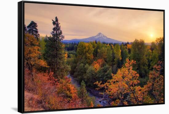 Warm Autumn Evening, Outside Hood River, Mount Hood, Oregon-Vincent James-Framed Stretched Canvas