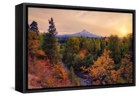 Warm Autumn Evening, Outside Hood River, Mount Hood, Oregon-Vincent James-Framed Stretched Canvas