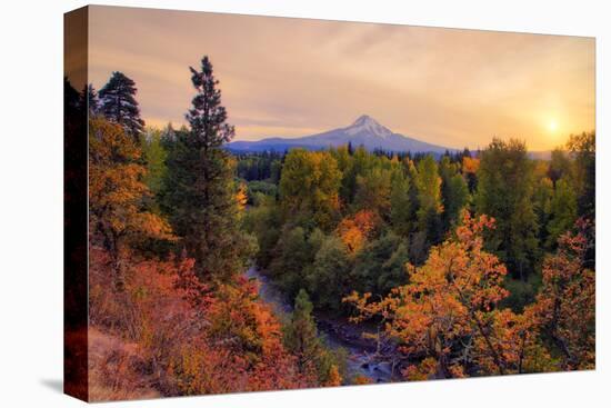 Warm Autumn Evening, Outside Hood River, Mount Hood, Oregon-Vincent James-Stretched Canvas