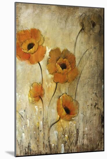 Warm Beauty-Tim O'toole-Mounted Giclee Print