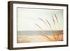 Warm Breeze-Carolyn Cochrane-Framed Photographic Print