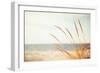 Warm Breeze-Carolyn Cochrane-Framed Photographic Print