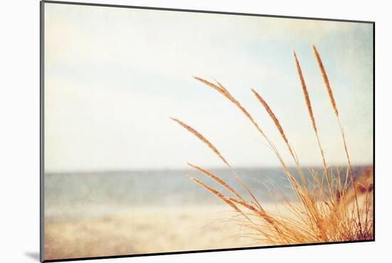 Warm Breeze-Carolyn Cochrane-Mounted Photographic Print