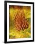 Warm Clover-Osaria Copperstone-Framed Giclee Print