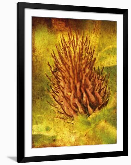 Warm Clover-Osaria Copperstone-Framed Giclee Print