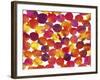 Warm Colors Abstract Flowing Paint Pattern 1-Amy Vangsgard-Framed Giclee Print