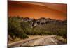 Warm Desert Sunset Scottsdale, Arizona-null-Mounted Poster