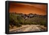 Warm Desert Sunset Scottsdale, Arizona-null-Framed Poster