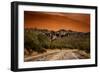 Warm Desert Sunset Scottsdale, Arizona-null-Framed Photo