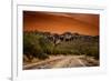 Warm Desert Sunset Scottsdale, Arizona-null-Framed Photo