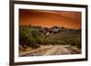 Warm Desert Sunset Scottsdale, Arizona-null-Framed Photo