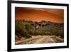 Warm Desert Sunset Scottsdale, Arizona-null-Framed Photo