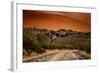 Warm Desert Sunset Scottsdale, Arizona-null-Framed Photo