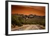 Warm Desert Sunset Scottsdale, Arizona-null-Framed Photo