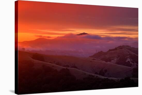 Warm Ethereal Sunrise Fog, East Bay Hills, Oakland, San Francisco-Vincent James-Stretched Canvas